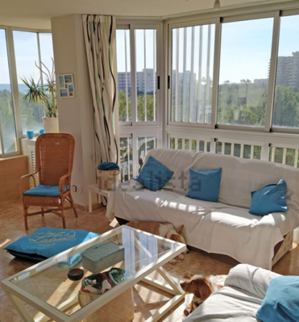 Fantástica vivienda situada en la playa de El Saler