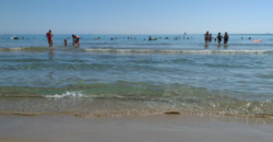 Espectacular Piso en Primera Línea de Playa – Playa de las Palmeras, sueca