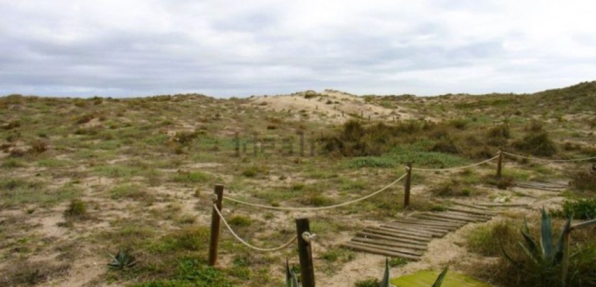 Maravillos apartamento de 2 habitaciones Primera Línea en El Perellonet