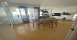 Maravilloso apartamento en la playa del Perellonet