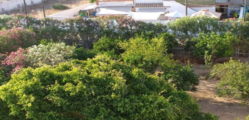 Espectacular ático en la playa del dossel con vistas fabulosas del mar