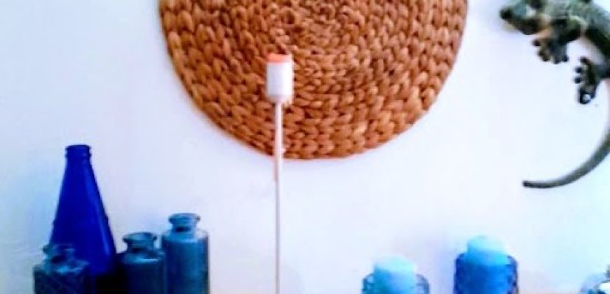 Descubre esta encantadora finca rústica situada en el término municipal de El Palomar