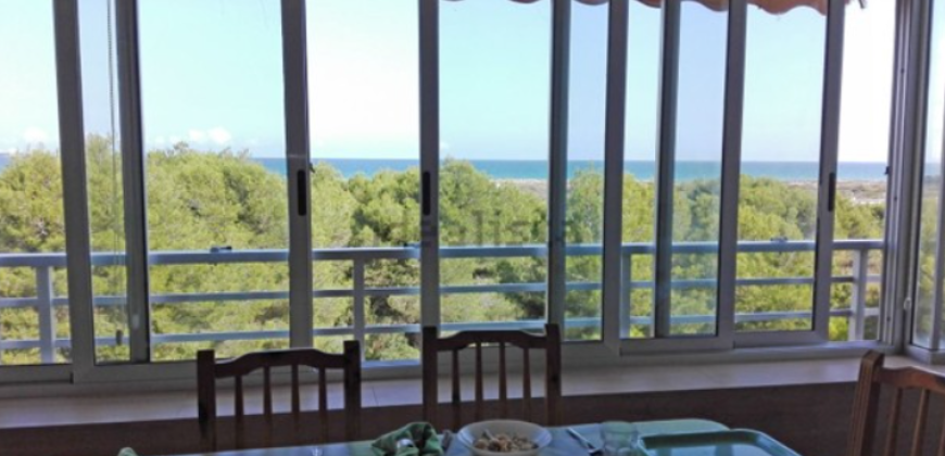 Fantástica vivienda situada en la playa de El Saler