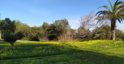Fantástica vivienda situada en la playa de El Saler