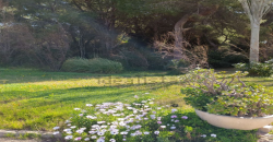 Fantástica vivienda situada en la playa de El Saler