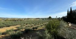 Descubre esta encantadora finca rústica situada en el término municipal de El Palomar