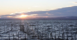 Fantástica vivienda situada en la playa de El Saler