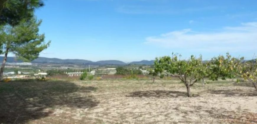 Descubre esta encantadora finca rústica situada en el término municipal de El Palomar